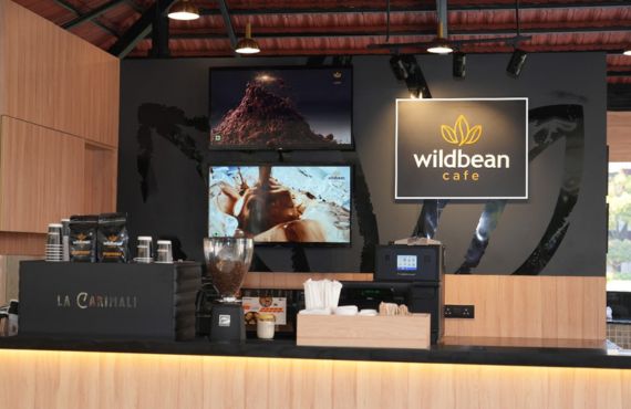 Wild bean cafe